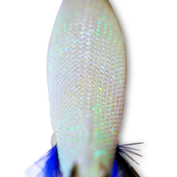 Inku Dynawhite