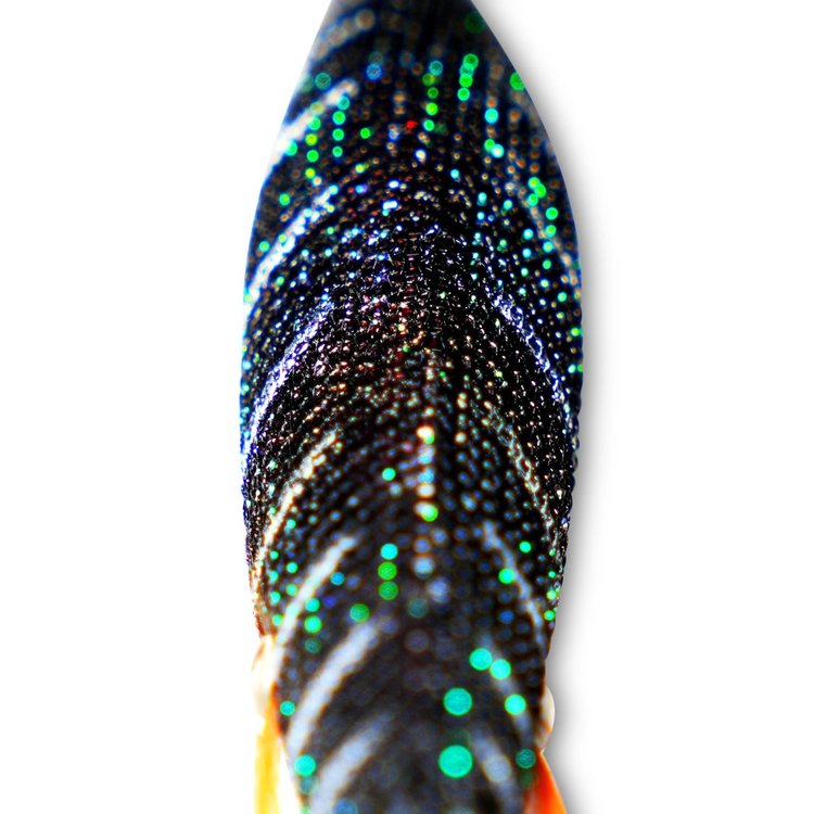 Inku Hunter Squid Jig