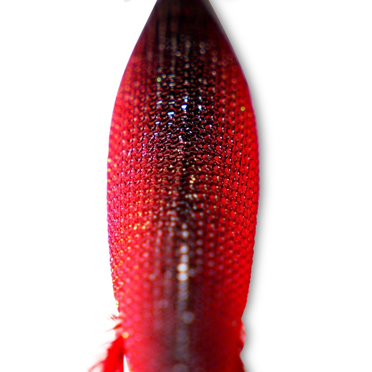 Inku Red Devil