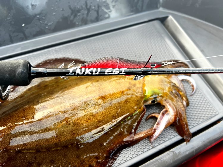 Inku Egi Squid Rod