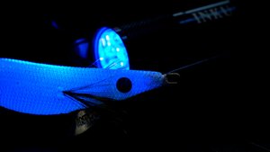 Inku Uv Torch