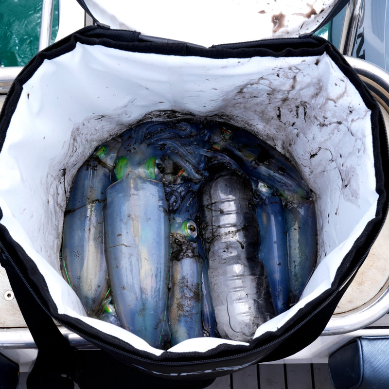 Squid in the Inku Cooler Bag